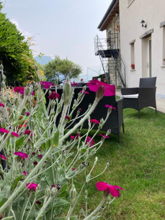 Il Riccio Di Ricciano Bed & Breakfast Casale Corte Cerro Exterior photo