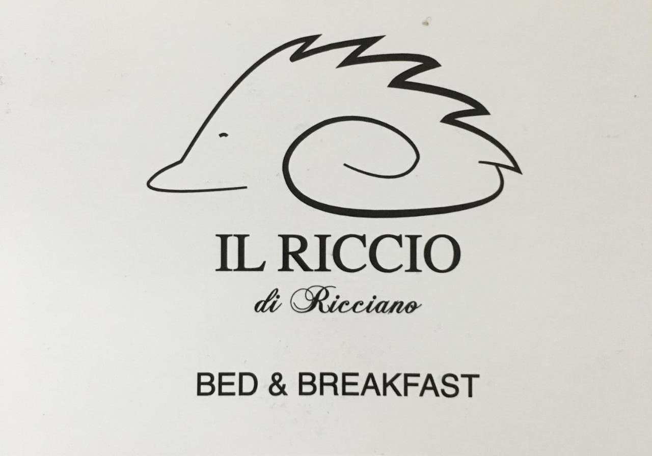 Il Riccio Di Ricciano Bed & Breakfast Casale Corte Cerro Exterior photo